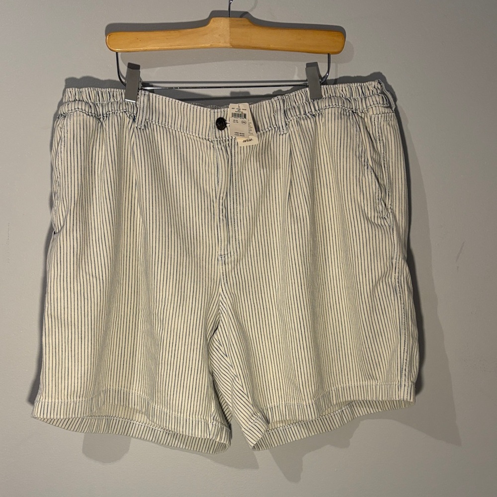 Aerie Blue and White Striped Shorts